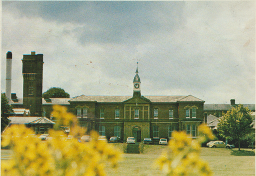A summery view of the reception and administration building